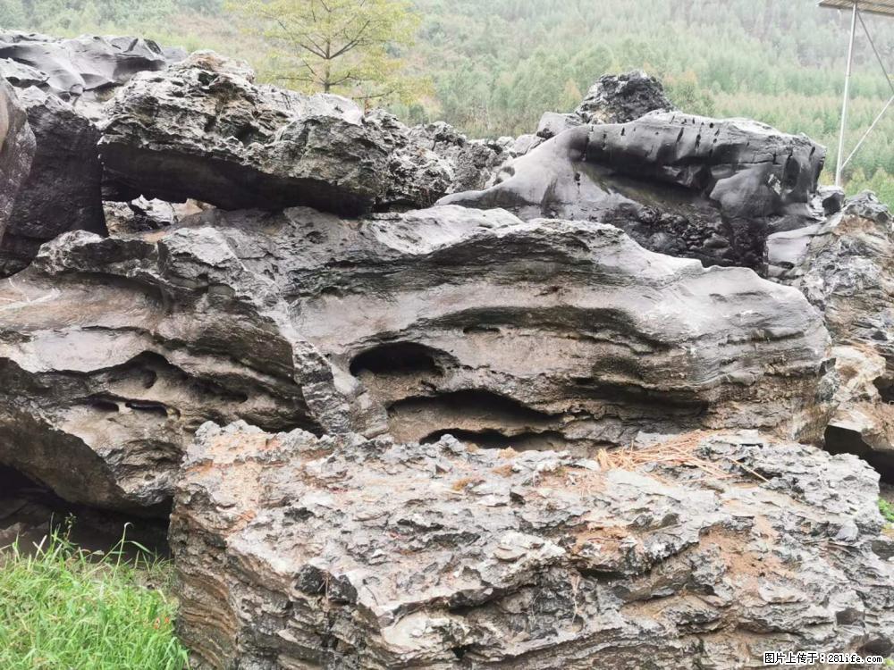 风景石、假山石大量有货，有需要的欢迎联系 - 新手上路 - 衡阳生活社区 - 衡阳28生活网 hy.28life.net