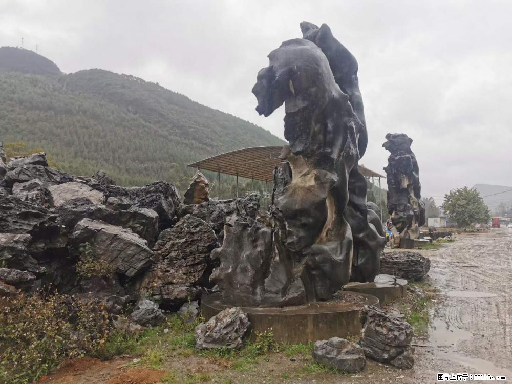 风景石、假山石大量有货，有需要的欢迎联系 - 新手上路 - 衡阳生活社区 - 衡阳28生活网 hy.28life.net