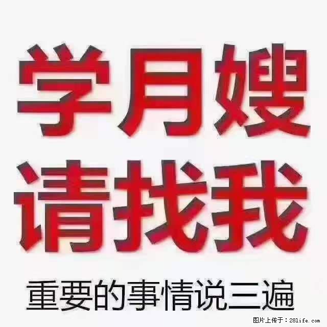 为什么要学习月嫂，育婴师？ - 新手上路 - 衡阳生活社区 - 衡阳28生活网 hy.28life.net