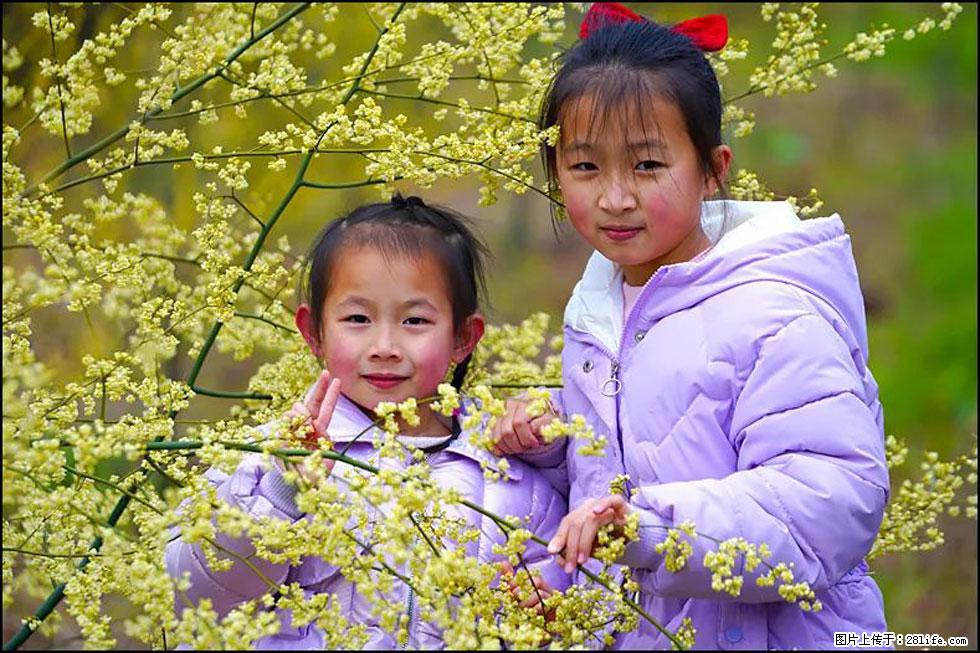 【春天，广西桂林灌阳县向您发出邀请！】米珠山前有片山苍子花在飘香 - 游山玩水 - 衡阳生活社区 - 衡阳28生活网 hy.28life.net