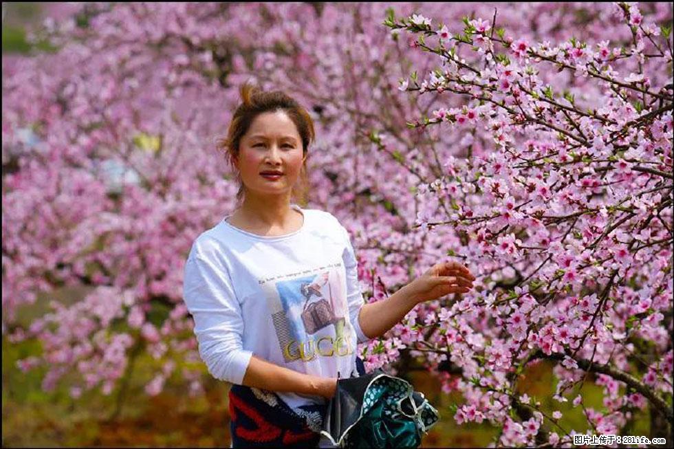 【春天，广西桂林灌阳县向您发出邀请！】官庄村有个醉美的桃花园 - 游山玩水 - 衡阳生活社区 - 衡阳28生活网 hy.28life.net