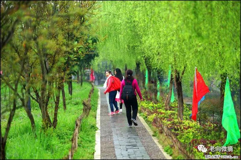 【春天，广西桂林灌阳县向您发出邀请！】江口老街又逢春 - 游山玩水 - 衡阳生活社区 - 衡阳28生活网 hy.28life.net