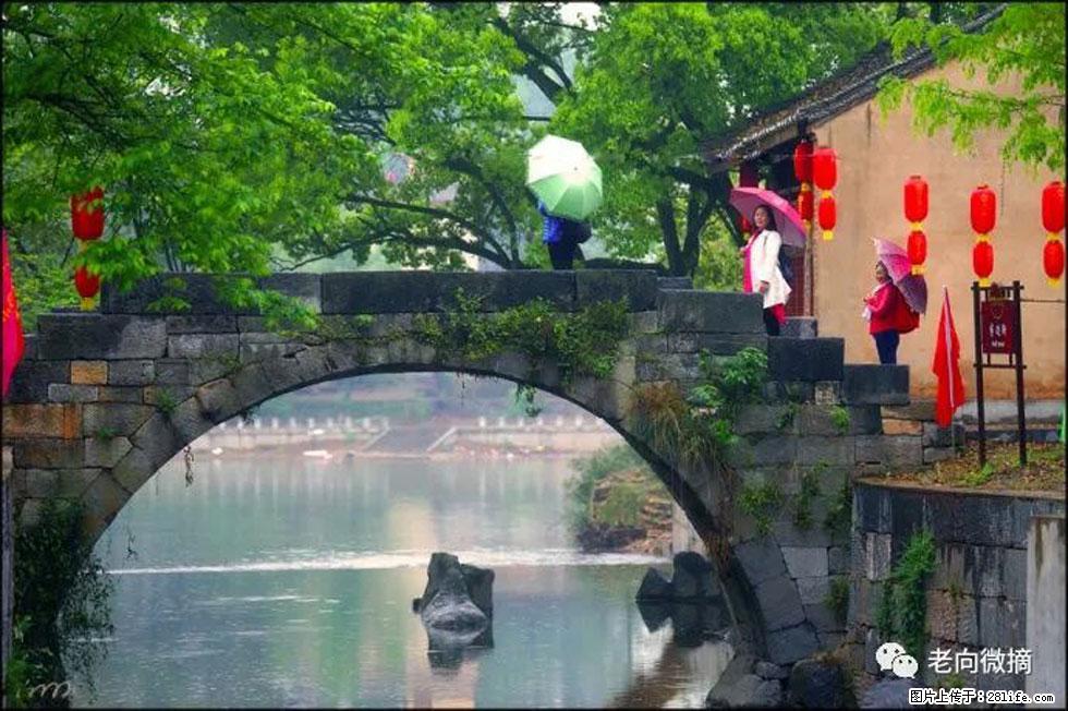 【春天，广西桂林灌阳县向您发出邀请！】江口老街又逢春 - 游山玩水 - 衡阳生活社区 - 衡阳28生活网 hy.28life.net