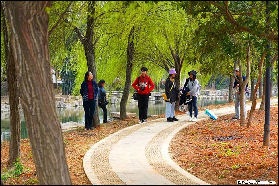 【春天，广西桂林灌阳县向您发出邀请！】江口老街又逢春 - 游山玩水 - 衡阳生活社区 - 衡阳28生活网 hy.28life.net