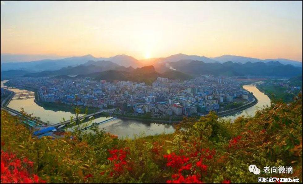 【春天，广西桂林灌阳县向您发出邀请！】登麒麟山，相约映山红 - 游山玩水 - 衡阳生活社区 - 衡阳28生活网 hy.28life.net