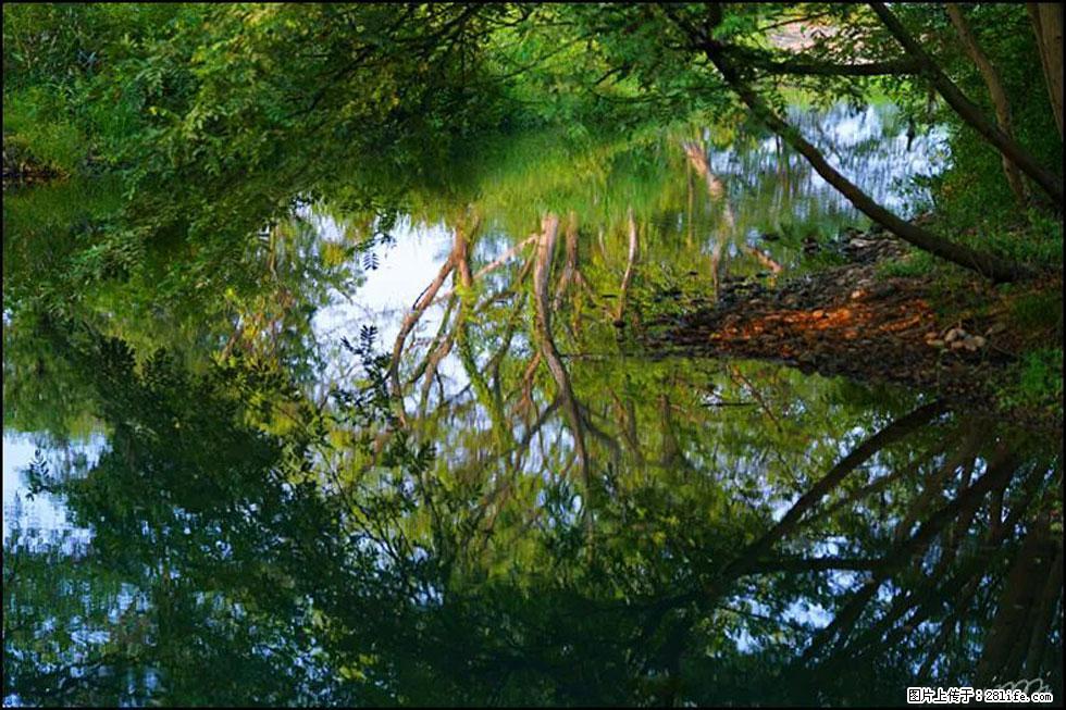 【春天，广西桂林灌阳县向您发出邀请！】熊家寨湿地公园 - 游山玩水 - 衡阳生活社区 - 衡阳28生活网 hy.28life.net