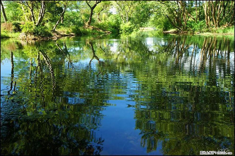 【春天，广西桂林灌阳县向您发出邀请！】熊家寨湿地公园 - 游山玩水 - 衡阳生活社区 - 衡阳28生活网 hy.28life.net