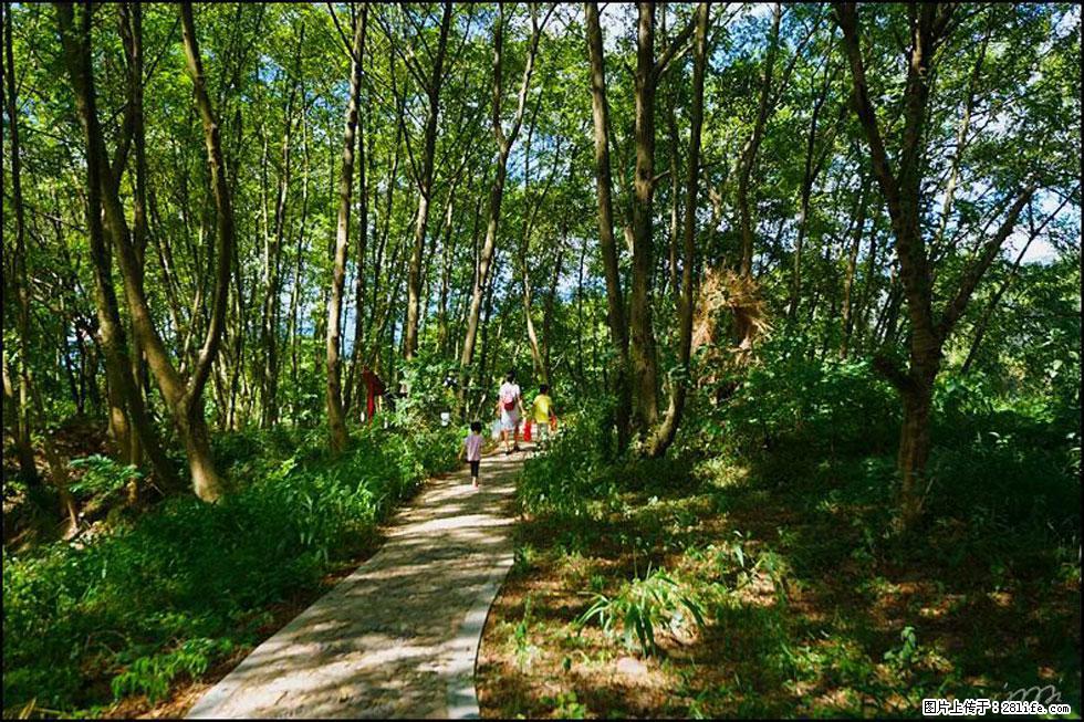 【春天，广西桂林灌阳县向您发出邀请！】熊家寨湿地公园 - 游山玩水 - 衡阳生活社区 - 衡阳28生活网 hy.28life.net