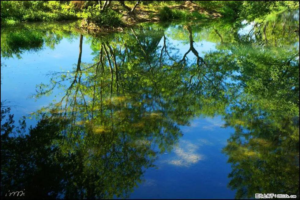 【春天，广西桂林灌阳县向您发出邀请！】熊家寨湿地公园 - 游山玩水 - 衡阳生活社区 - 衡阳28生活网 hy.28life.net