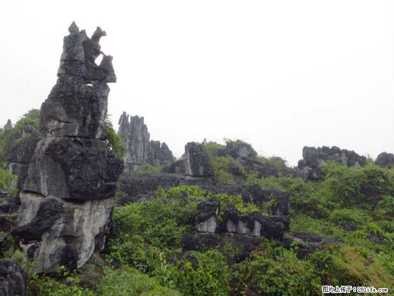 桂林旅游名城景点：灌阳文市石林 - 游山玩水 - 衡阳生活社区 - 衡阳28生活网 hy.28life.net