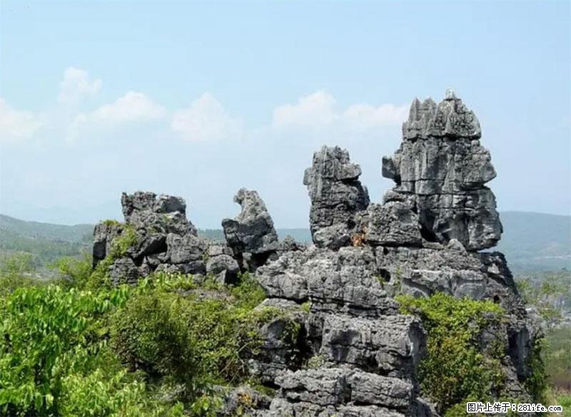 桂林旅游名城景点：灌阳文市石林 - 游山玩水 - 衡阳生活社区 - 衡阳28生活网 hy.28life.net