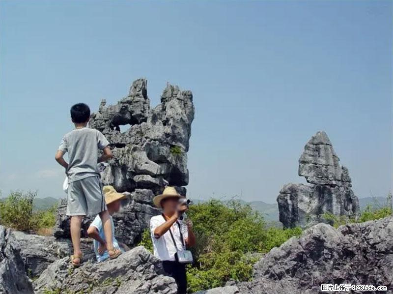 桂林旅游名城景点：灌阳文市石林 - 游山玩水 - 衡阳生活社区 - 衡阳28生活网 hy.28life.net