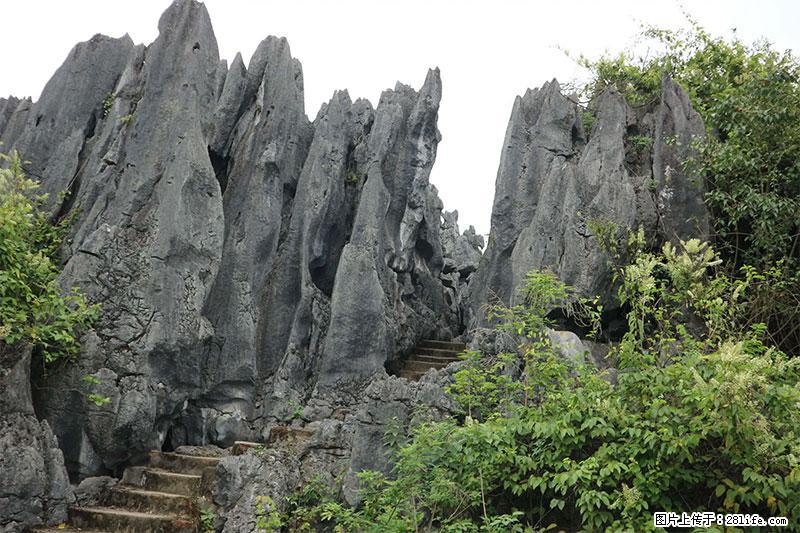 桂林旅游名城景点：灌阳文市石林 - 游山玩水 - 衡阳生活社区 - 衡阳28生活网 hy.28life.net