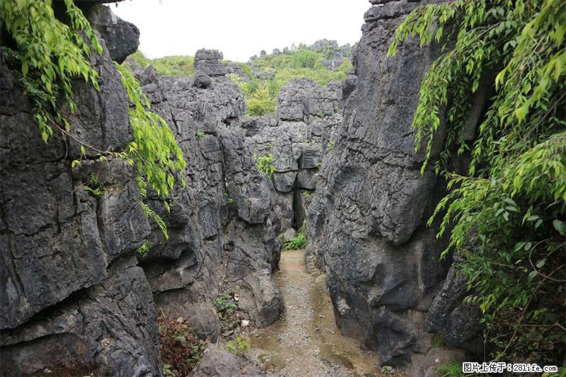 桂林旅游名城景点：灌阳文市石林 - 游山玩水 - 衡阳生活社区 - 衡阳28生活网 hy.28life.net