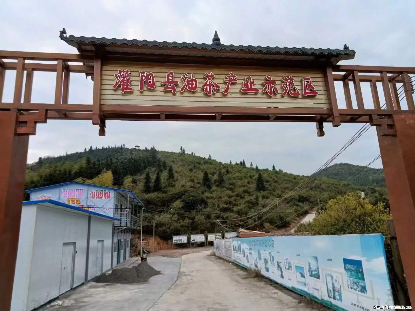 【灌阳县油茶产业示范区】一个有着充实的精神生活的人，对待身外之物自会有一种淡泊的态度 - 土特产 - 饮食特产 - 衡阳分类信息 - 衡阳28生活网 hy.28life.net