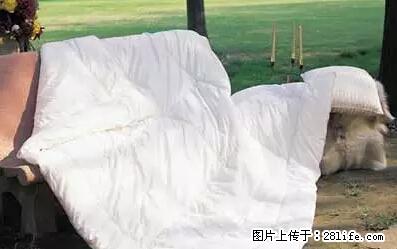 被子有异味？只要这样做，比晒太阳还强100倍！ - 家居生活 - 衡阳生活社区 - 衡阳28生活网 hy.28life.net