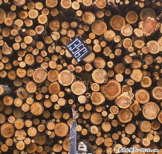 辞掉工作周游世界？现在他们在洗厕所…… - 游山玩水 - 衡阳生活社区 - 衡阳28生活网 hy.28life.net