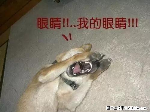 笑癫了！一女的怀孕三年未生，他终于忍不住了... - 娱乐八卦 - 衡阳生活社区 - 衡阳28生活网 hy.28life.net
