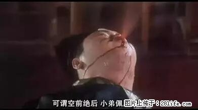 笑癫了！一女的怀孕三年未生，他终于忍不住了... - 娱乐八卦 - 衡阳生活社区 - 衡阳28生活网 hy.28life.net