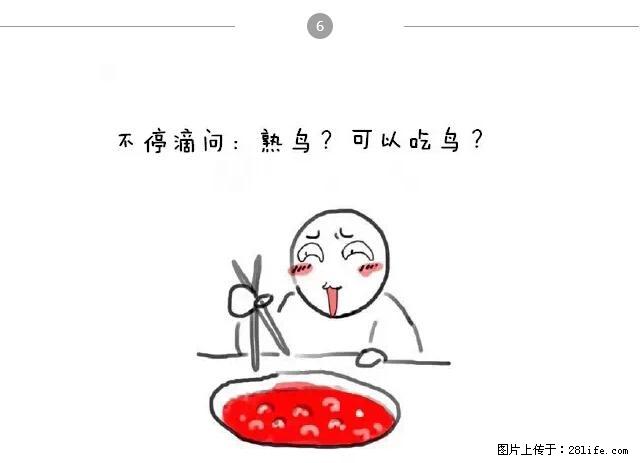 千万不要和这9种哈卵一起吃火锅！ - 美食天地 - 衡阳生活社区 - 衡阳28生活网 hy.28life.net