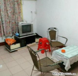 爱民路二室一厅装修带全套家具电器600元 - 衡阳28生活网 hy.28life.net
