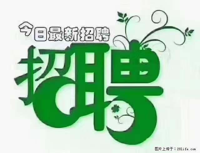 【招聘】产康师 - 职场交流 - 衡阳生活社区 - 衡阳28生活网 hy.28life.net