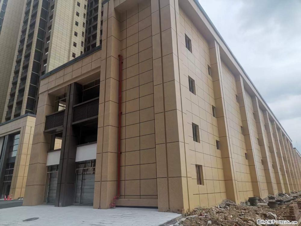 【广西三象建筑安装工程有限公司】外墙涂料工程 - 新手上路 - 衡阳生活社区 - 衡阳28生活网 hy.28life.net