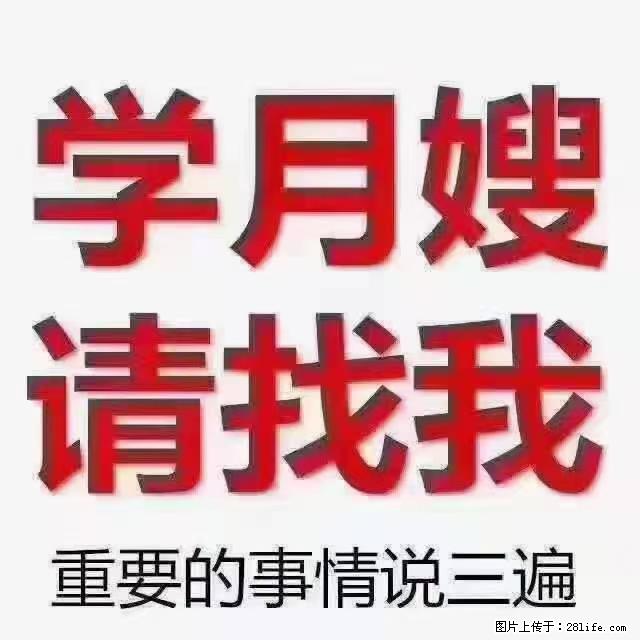 【招聘】月嫂，上海徐汇区 - 职场交流 - 衡阳生活社区 - 衡阳28生活网 hy.28life.net