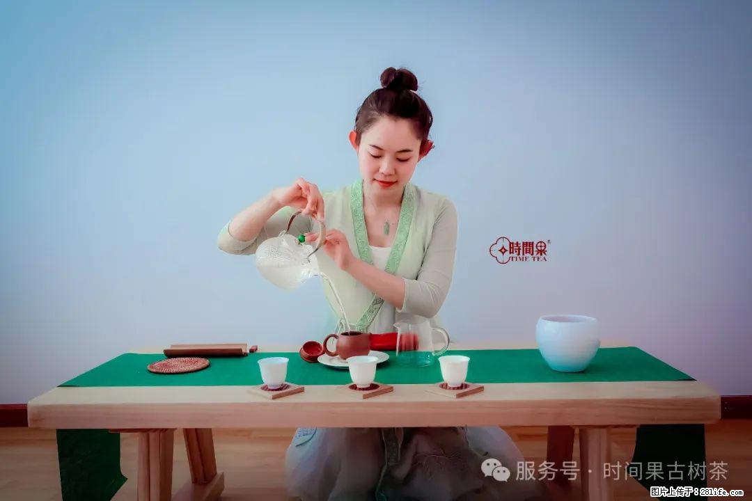 时间果百年古树龙珠普洱生茶 - 购物交流 - 衡阳生活社区 - 衡阳28生活网 hy.28life.net