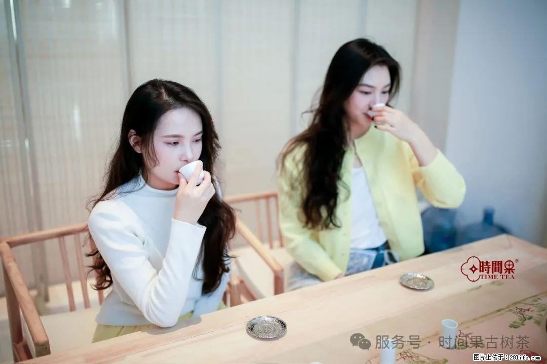 时间果百年古树龙珠普洱生茶 - 购物交流 - 衡阳生活社区 - 衡阳28生活网 hy.28life.net
