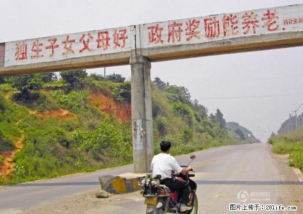 全面两孩政策计划明年元旦起实施 夫妻可延长生育假 - 衡阳生活资讯 - 衡阳28生活网 hy.28life.net