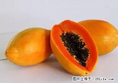 晕车、脚气、牙齿变黄、皮肤粗糙？学会这些三分钟搞定！ - 衡阳生活资讯 - 衡阳28生活网 hy.28life.net