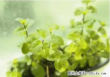 晕车、脚气、牙齿变黄、皮肤粗糙？学会这些三分钟搞定！ - 衡阳生活资讯 - 衡阳28生活网 hy.28life.net