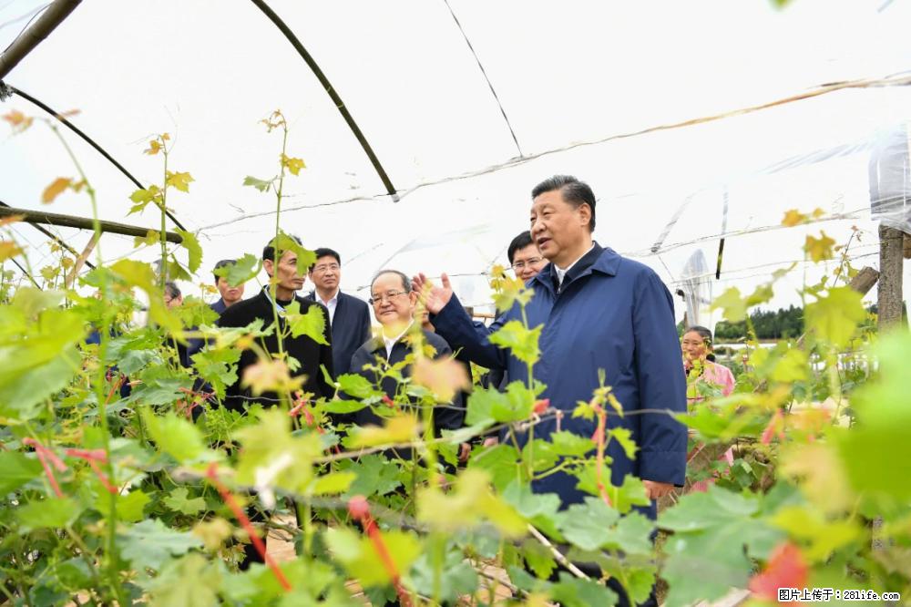 习近平赴广西考察调研 - 衡阳生活资讯 - 衡阳28生活网 hy.28life.net