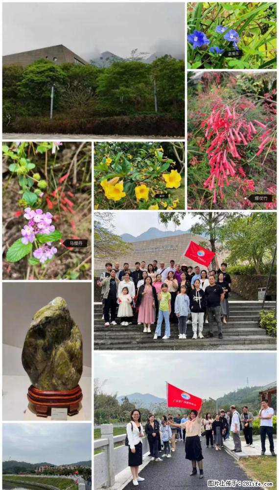 “粤灌文化 美好生活”油茶文化主题活动在广东深圳成功举办 - 衡阳生活资讯 - 衡阳28生活网 hy.28life.net