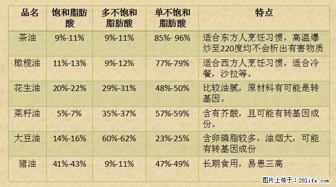 揭秘茶油的5大核心营养成分！被称为人体健康的“守护盾”！ - 衡阳生活资讯 - 衡阳28生活网 hy.28life.net