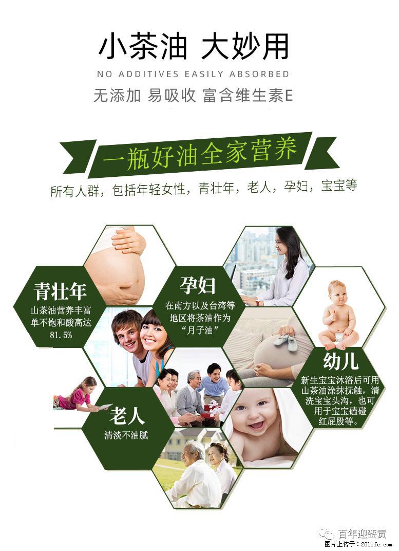 世界没有真相，只有认知，最好的食用油是中国的山茶油！ - 衡阳生活资讯 - 衡阳28生活网 hy.28life.net