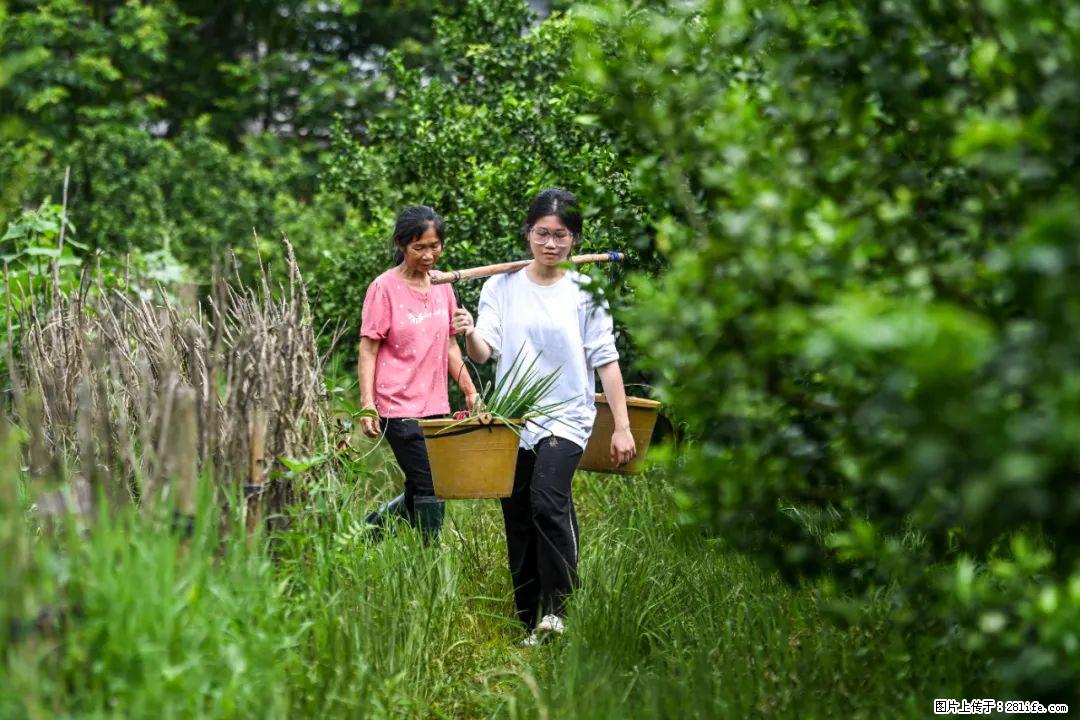 全网追的“扁担女孩”，找了一份暑假工，时薪12元 - 衡阳生活资讯 - 衡阳28生活网 hy.28life.net