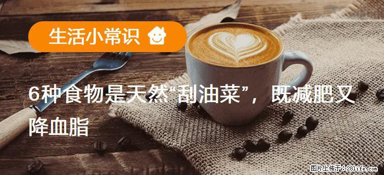 【生活小常识】6种食物是天然“刮油菜”，既减肥又降血脂 - 衡阳生活资讯 - 衡阳28生活网 hy.28life.net