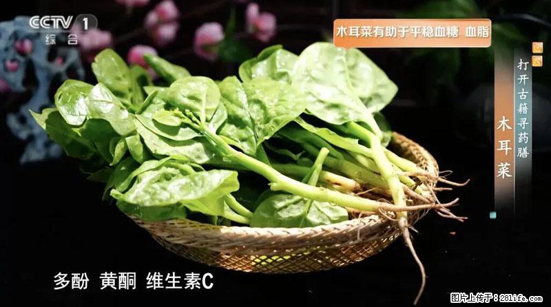 比牛奶补钙还厉害！凉血解毒、稳血糖...这菜冬天必吃，很多人却当草 - 衡阳生活资讯 - 衡阳28生活网 hy.28life.net