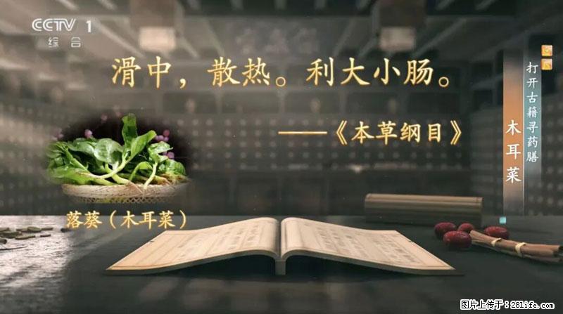 比牛奶补钙还厉害！凉血解毒、稳血糖...这菜冬天必吃，很多人却当草 - 衡阳生活资讯 - 衡阳28生活网 hy.28life.net