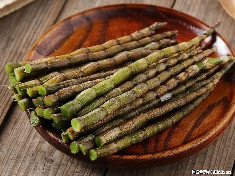 铁皮石斛的作用与功能主治 - 衡阳生活资讯 - 衡阳28生活网 hy.28life.net
